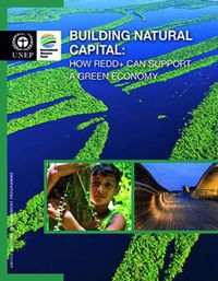 Cover image for Building natural capital