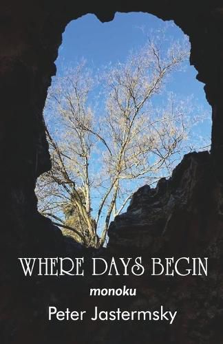 Cover image for WHERE DAYS BEGIN