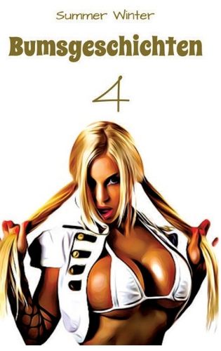 Cover image for Bumsgeschichten 4