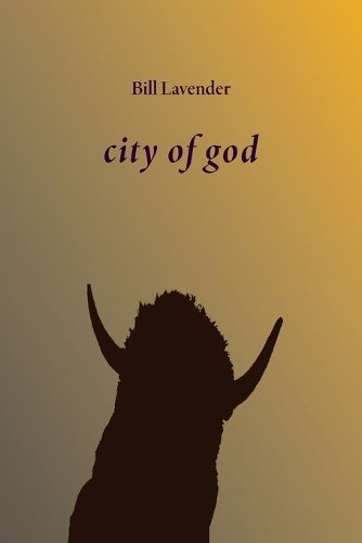 Cover image for city of god