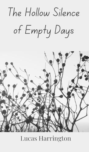 Cover image for The Hollow Silence of Empty Days