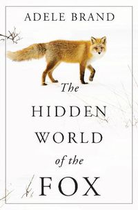 Cover image for The Hidden World of the Fox