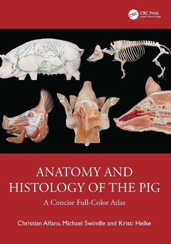 Cover image for Anatomy and Histology of the Pig