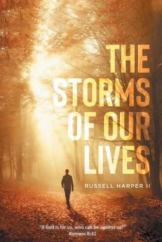 Cover image for The Storms of our Lives