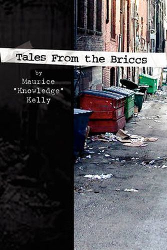 Cover image for Tales from the Briccs