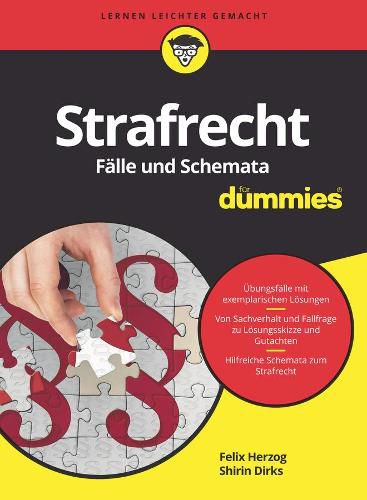 Cover image for Strafrecht Falle und Schemata fur Dummies