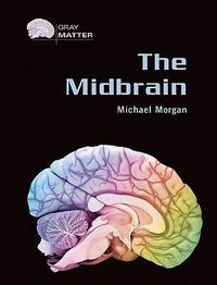 Cover image for The Midbrain