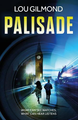 Cover image for Palisade