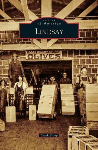 Cover image for Lindsay