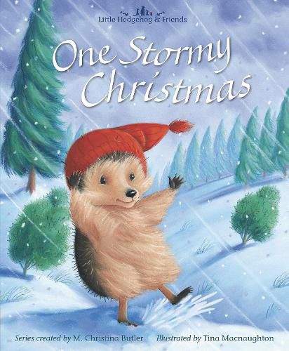 Cover image for One Stormy Christmas