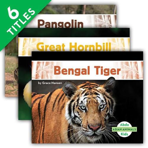 Cover image for Asian Animals (Set)