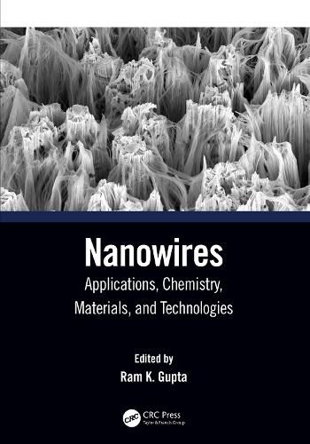 Cover image for Nanowires