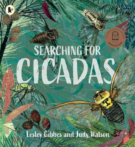 Cover image for Searching for Cicadas