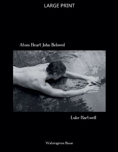 Cover image for Atom Heart John Beloved