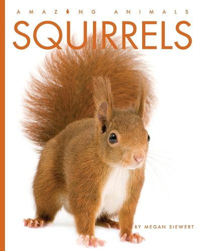 Cover image for Squirrels