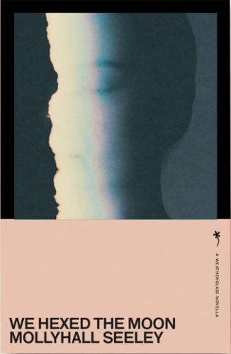 Cover image for We Hexed the Moon