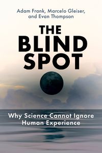 Cover image for The Blind Spot