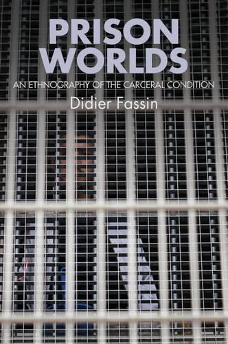 Prison Worlds: An Ethnography of the Carceral Condition