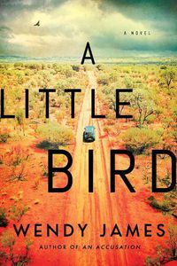 Cover image for A Little Bird: A Novel