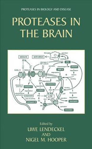 Cover image for Proteases in the Brain