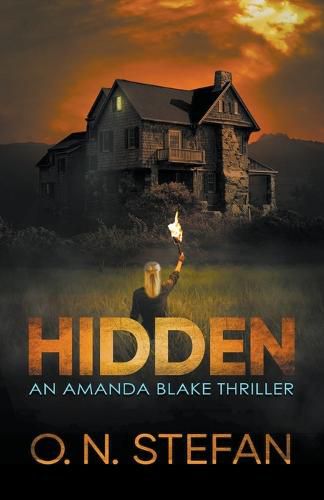 Cover image for Hidden