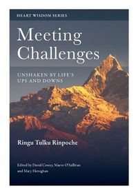 Cover image for Meeting Challenges