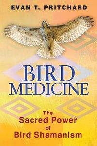 Cover image for Bird Medicine: The Sacred Power of Bird Shamanism