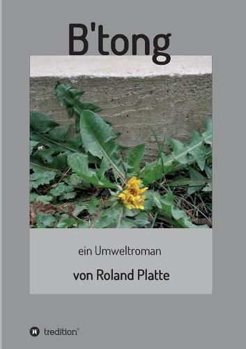 Cover image for B'tong: ein Umweltroman