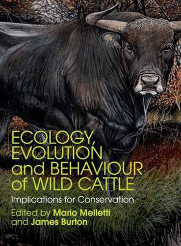 Cover image for Ecology, Evolution and Behaviour of Wild Cattle: Implications for Conservation