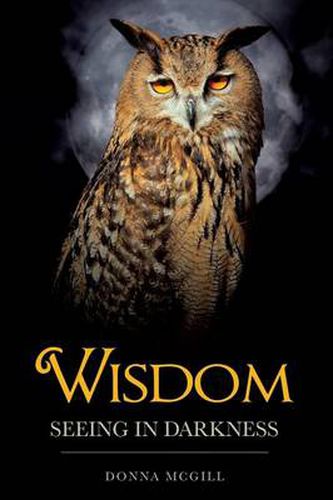 Cover image for Wisdom Seeing in Darkness