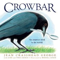 Cover image for Crowbar: The Smartest Bird in the World