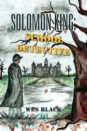 Cover image for Solomon King: School Detective