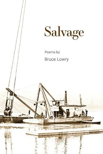 Cover image for Salvage: Poems