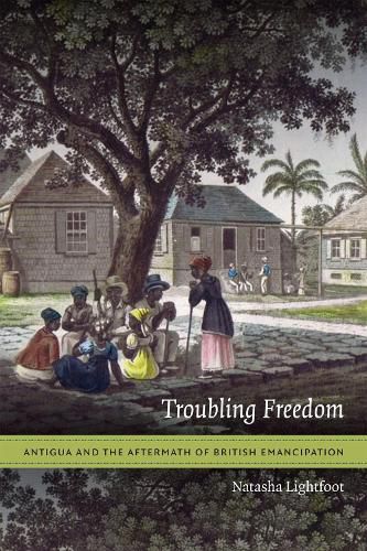 Cover image for Troubling Freedom: Antigua and the Aftermath of British Emancipation