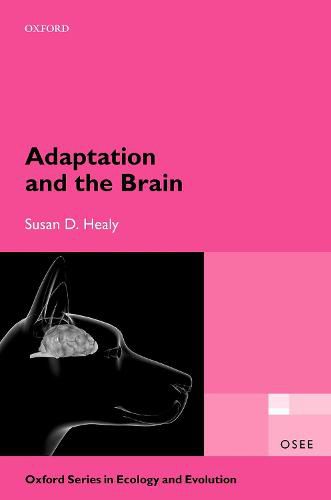 Cover image for Adaptation and the Brain