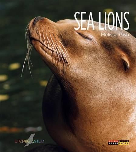 Cover image for Sea Lions