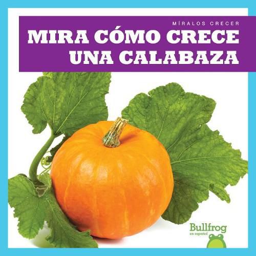 Cover image for Mira Como Crece Una Calabaza (Watch a Pumpkin Grow)