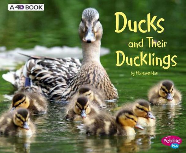 Cover image for Ducks and Their Ducklings: A 4D Book