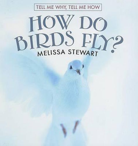 How Do Birds Fly?