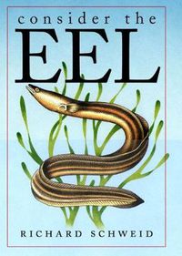 Cover image for Consider the Eel