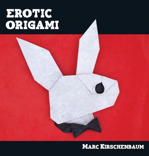 Cover image for Erotic Origami