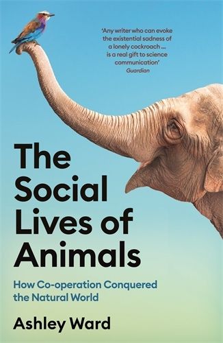 The Social Lives of Animals: How Co-Operation Conquered the Natural World