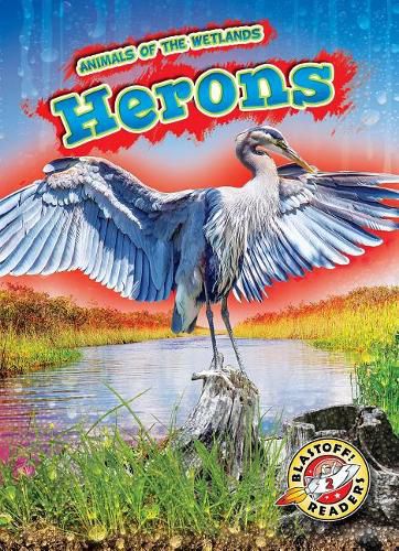 Cover image for Herons