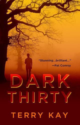Cover image for Dark Thirty