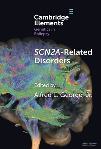 Cover image for SCN2A-Related Disorders