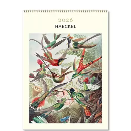 Cover image for Haeckel Medium 2026 Calendar