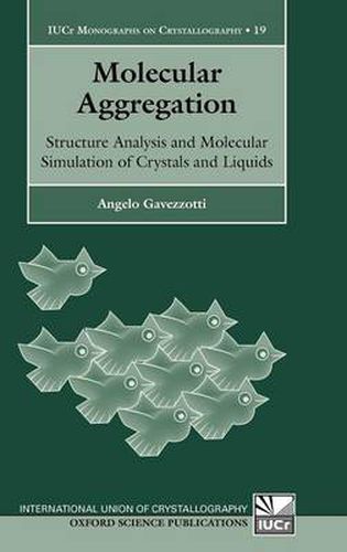 Cover image for Molecular Aggregation: Structure Analysis and Molecular Simulation of Crystals and Liquids