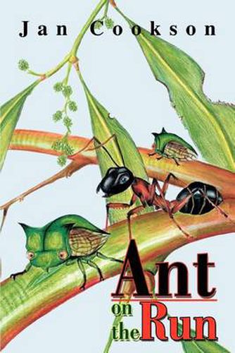 Cover image for Ant on the Run