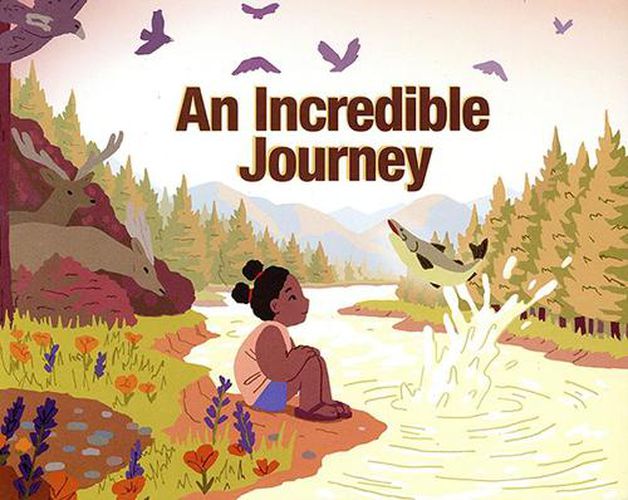 Cover image for An Incredible Journey