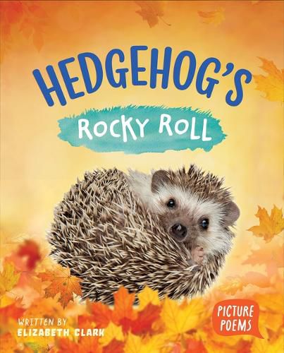 Cover image for Hedgehog's Rocky Roll
